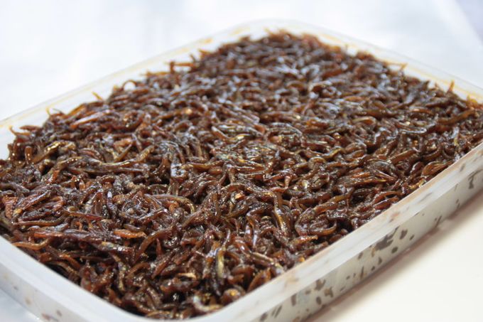 カルシウム豊富なイカナゴを甘めに味付けした、播磨地方の特産品です。200g1セット1296円（税込）