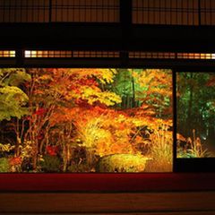 ニュース画像