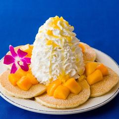 ニュース画像