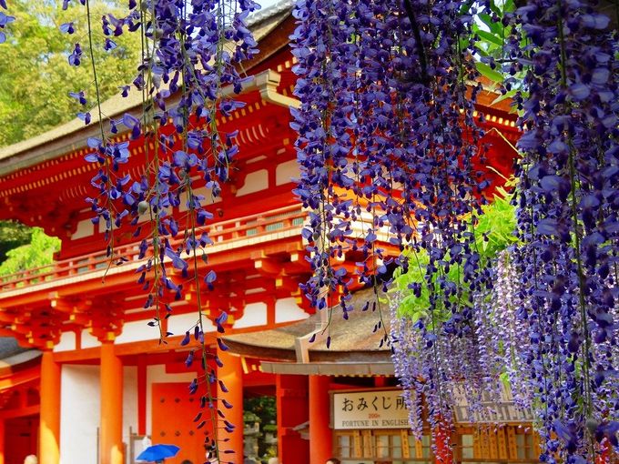世界遺産に登録されている全国の春日神社の総本社。関西でも、縁結びでおすすめのパワースポットです。